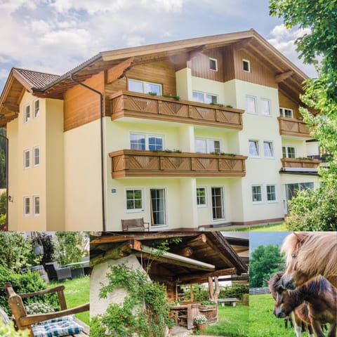 Property building, Garden, Garden view