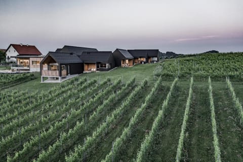 Natural landscape, On site, Garden view, Mountain view
