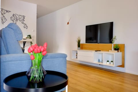 TV and multimedia, Living room, Decorative detail