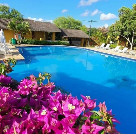 Pool view