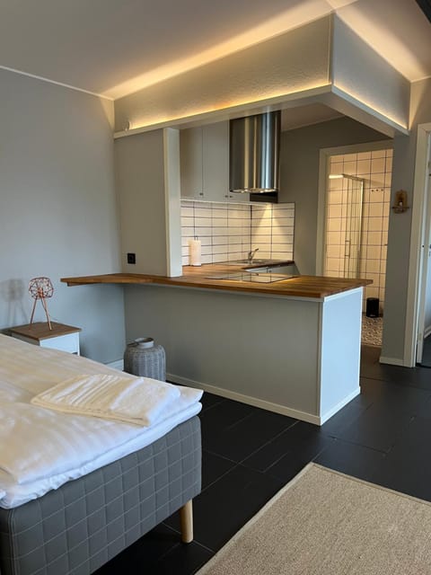 La Mare Resort Docked boat in Gothenburg