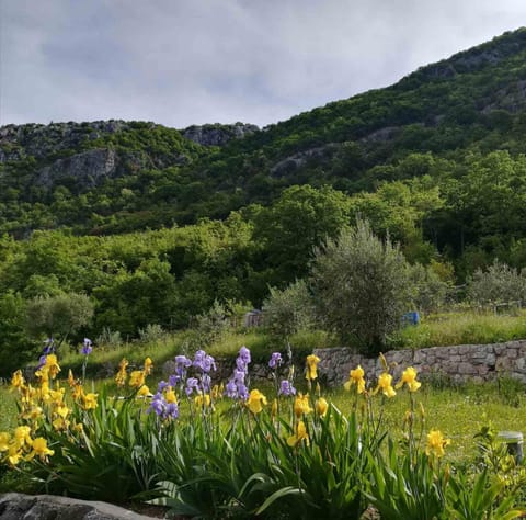 Natural landscape, Hiking