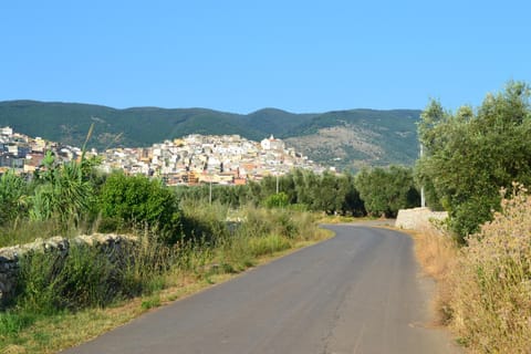 Natural landscape