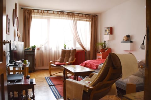 Apartament Anca Apartment in Timisoara