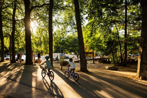 Spring, Natural landscape, Children play ground, Game Room, Cycling