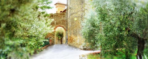 Nearby landmark, Spring, Neighbourhood, Natural landscape