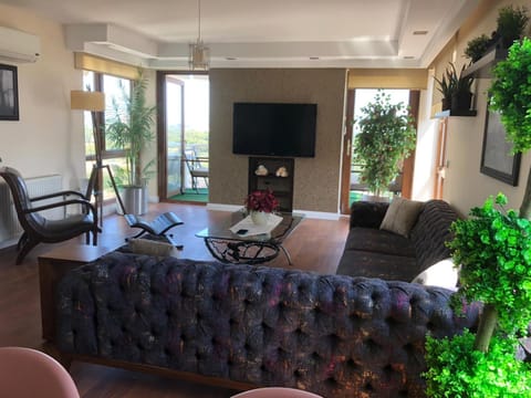 Living room, Seating area