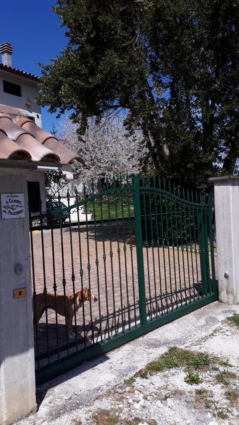 Il Ciliegio del Pellegrino Apartment in Umbria