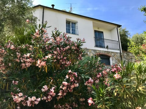 Property building, Summer, Garden, On site