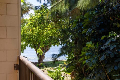 Hono Kai Resort B16 Apartment in Maalaea