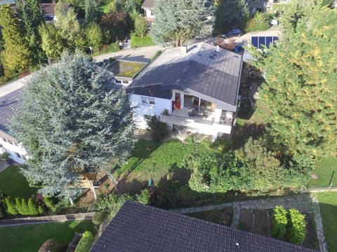 Bird's eye view, Garden view