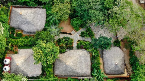 Cabañas Amaia Bed and Breakfast in State of Oaxaca