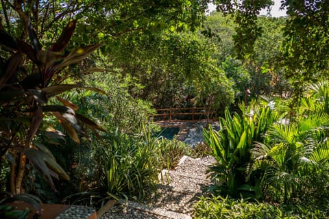 Cabañas Amaia Bed and Breakfast in State of Oaxaca