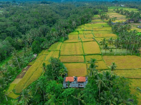 Natural landscape, Bird's eye view, Mountain view