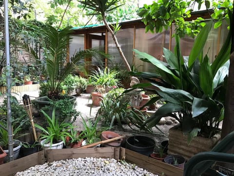 La Casa di Elena Bed and Breakfast in Rome