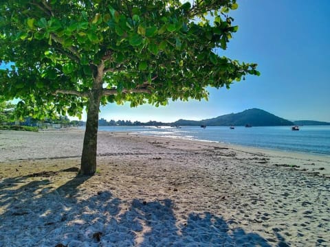 Day, Natural landscape, Beach, Lake view, Mountain view, Sea view