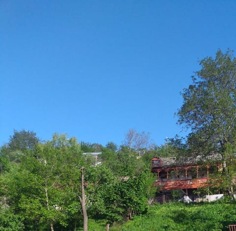 Garden view, Swimming pool