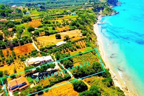 Day, Bird's eye view