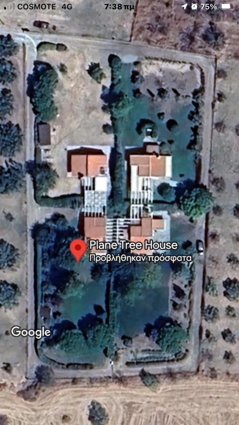 Plane Tree House Apartment in Evros, Greece