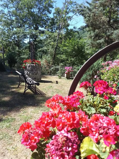 Garden, Garden view