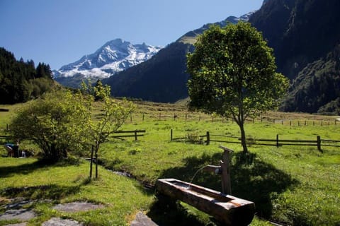 Neuhaushof Apartment in Salzburgerland