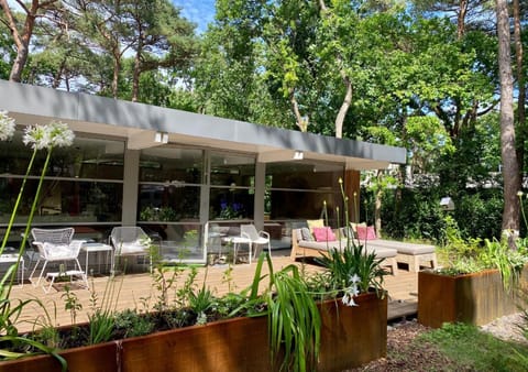 Patio, Balcony/Terrace, Garden view