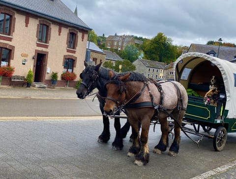 Au fil de l'eau Bed and Breakfast in Wallonia, Belgium