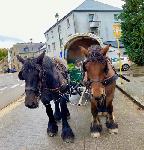 Au fil de l'eau Bed and Breakfast in Wallonia, Belgium