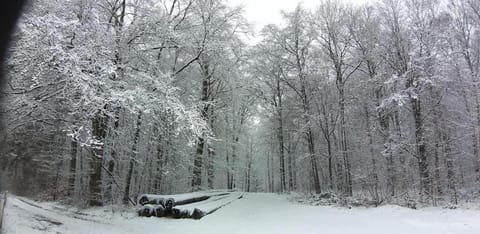 Au fil de l'eau Bed and Breakfast in Wallonia, Belgium