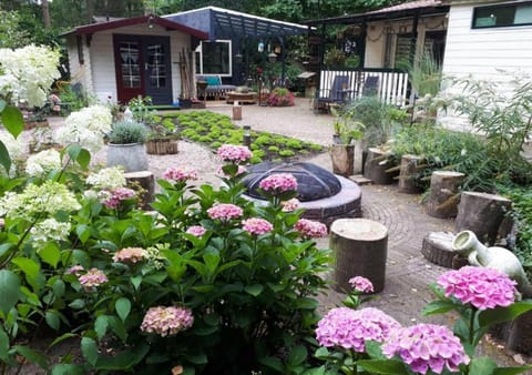 Patio, Facade/entrance, Garden