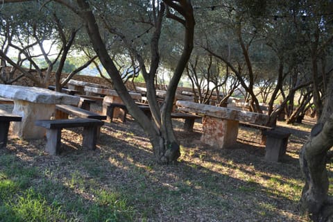 Apartment Daniela Apartment in Šibenik-Knin County, Croatia