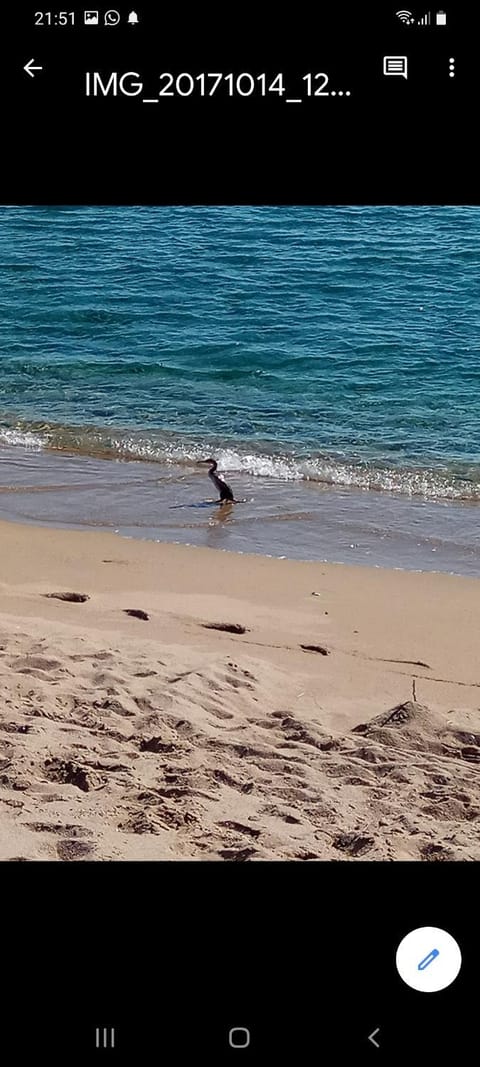 Appartamento in zona residenziale Bed and Breakfast in Orosei