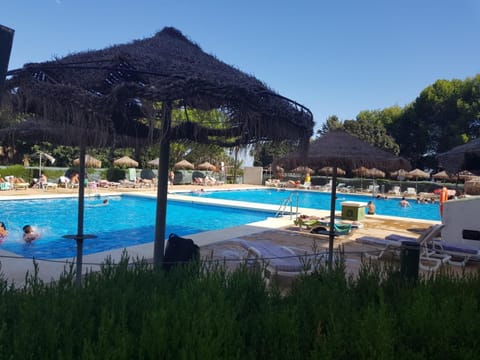 Pool view, Swimming pool