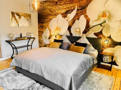 65qm Luxus Apartment mit Whirlpool Saarbrücken Uni Nähe Apartment in Saarbrücken