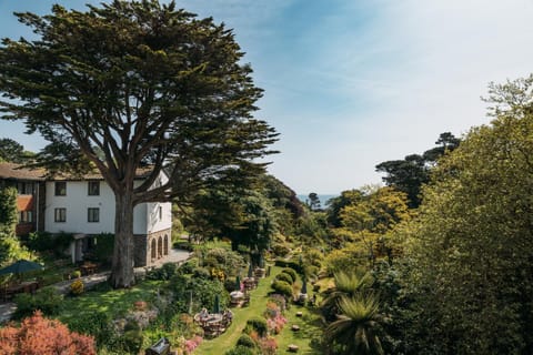 Garden, Garden view