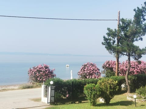 Garden, Sea view