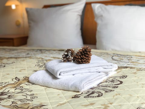 Bed, Photo of the whole room, towels