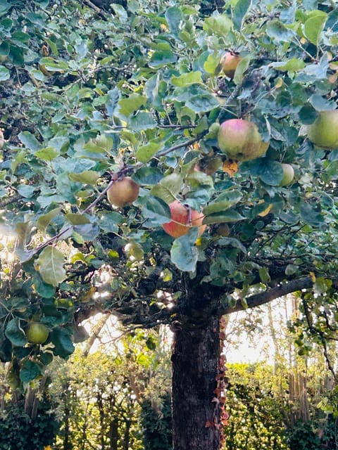 Holiday Home 'T Wildenburgs Klaverhuys Villa in Flanders
