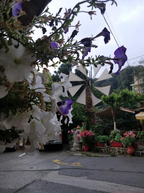 Spring, Day, Garden, Garden view