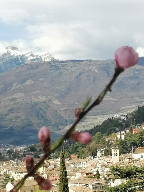 DOLCE DORMIRE Bed and Breakfast in Rovereto