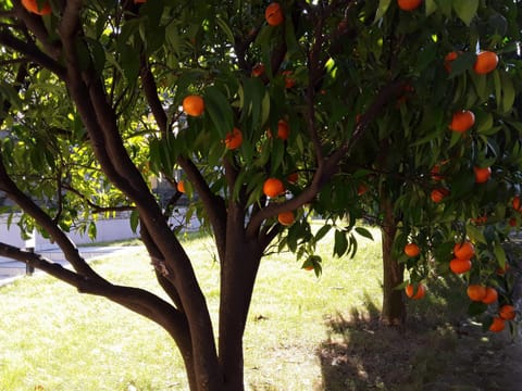 Casa Punta Veleno Apartment in Brenzone sul Garda