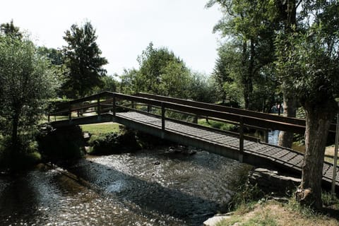 Natural landscape, Activities, On site, Area and facilities