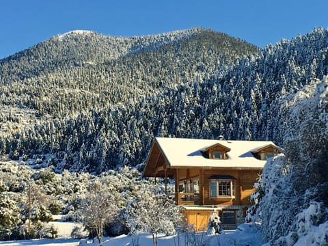Vytina log house Chalet in Arcadia, Greece
