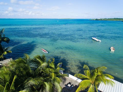 Bird's eye view, Sea view