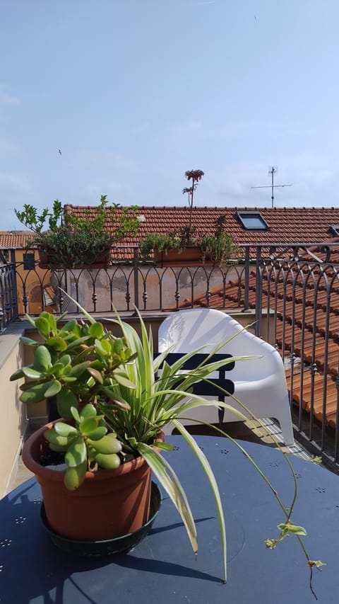 View (from property/room), Balcony/Terrace