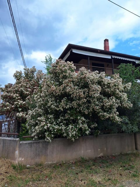 Garden maisonnette 2-bedrooms sleeps 6 adults 200m from sandy beach Apartment in Decentralized Administration of Macedonia and Thrace