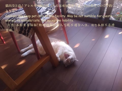 Pets