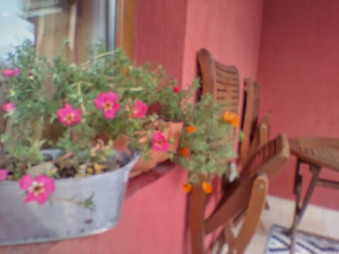 Апартамент "Скален венец" Apartment in Veliko Tarnovo