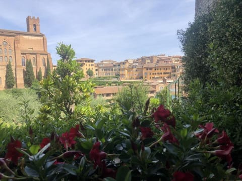 Casa Sophia Apartment in Siena