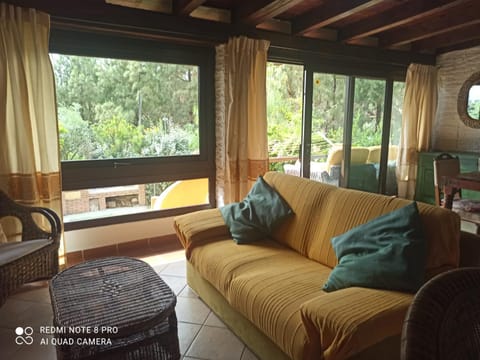 Living room, Seating area, Garden view
